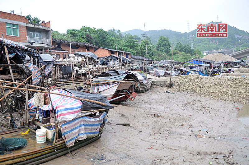 莆田人口迁徙_莆田卤面图片(3)