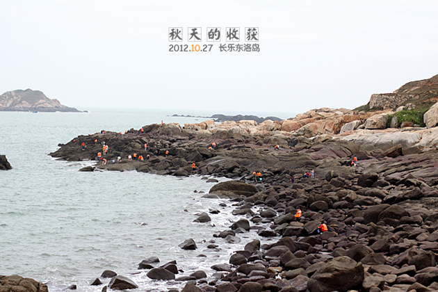 漳德渔佬海鲜自助_德渔府门头_听渔轩渔具店装修图片