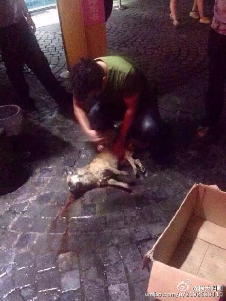 南航老总摔死_中国南航空姐和老总