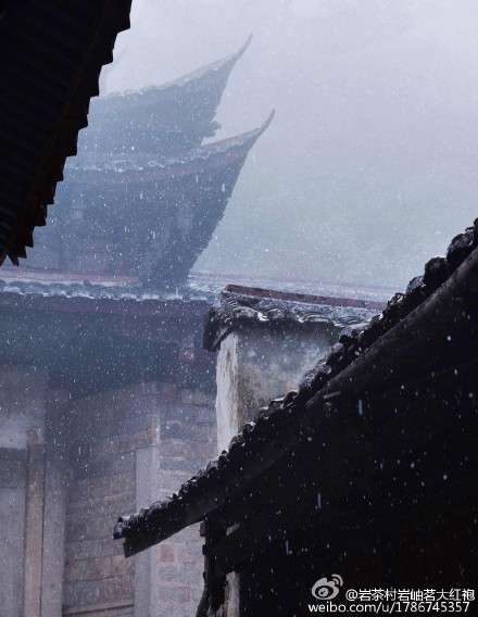 @岩茶村岩岫茗大红袍:山里下雪了,雪花犹如一位位舞者优雅的飘
