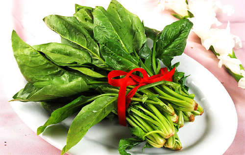 菠菜配什么样菜才有营养 3479_1382059_749926.jpg