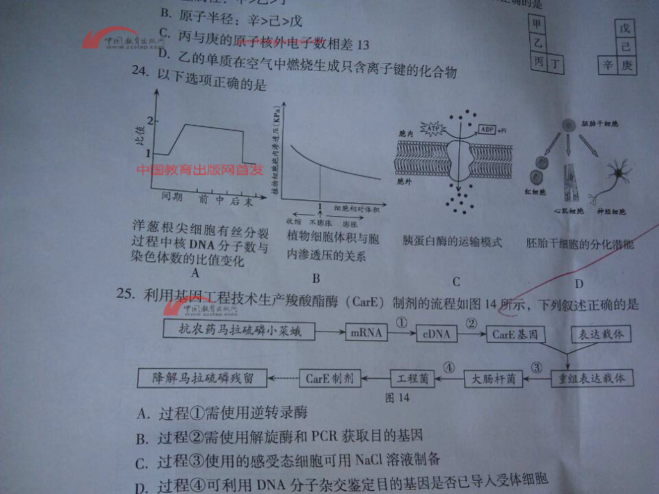 广东省高考我245分,3B要300分,高职220分(到