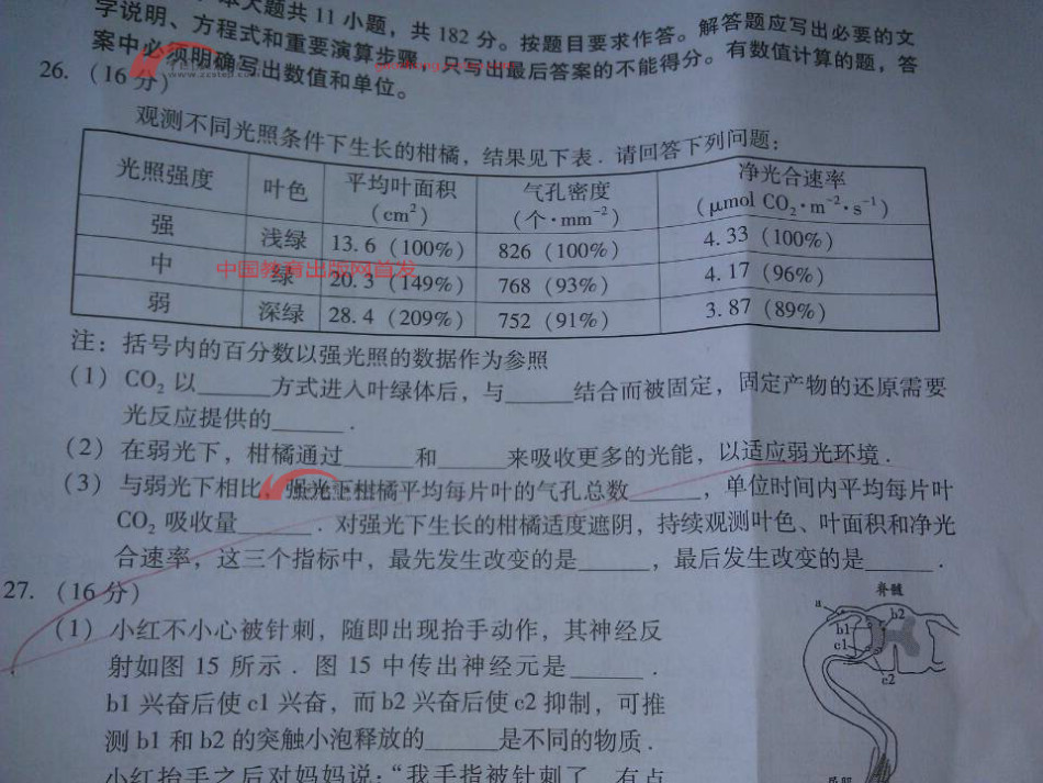 广东省高考我245分,3B要300分,高职220分(到