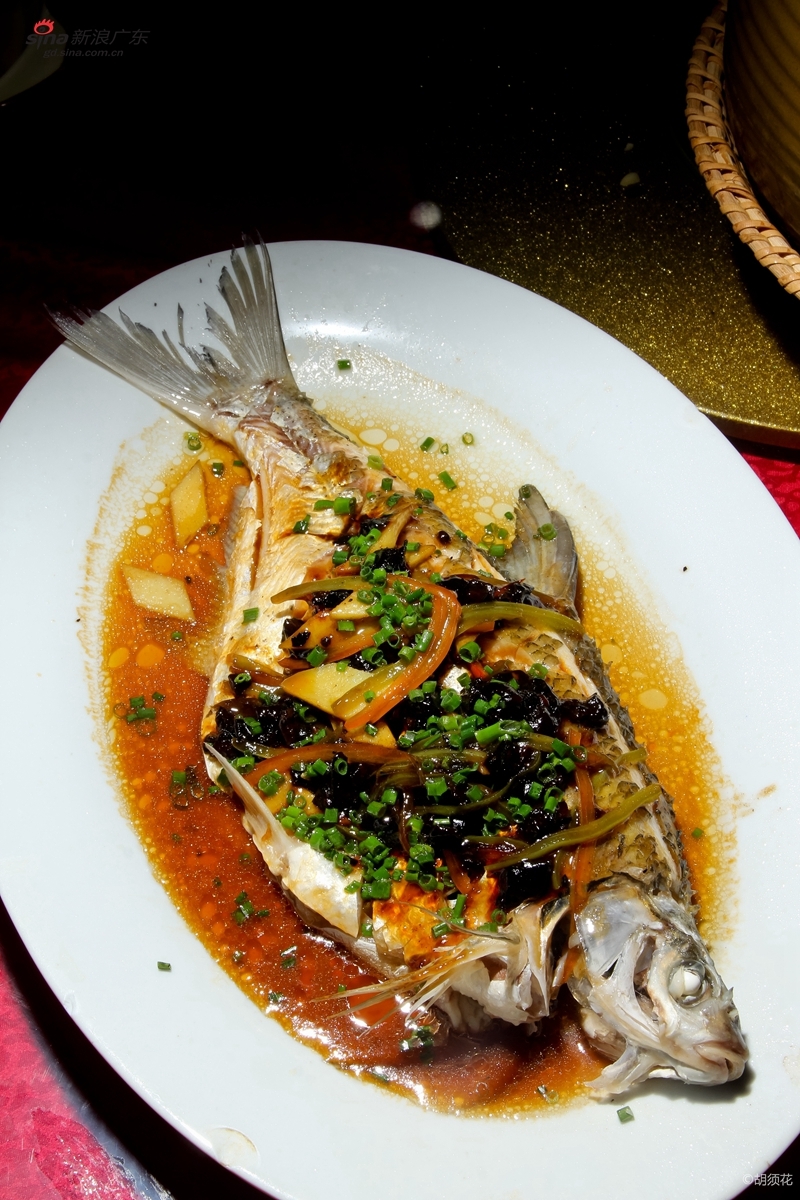 虎门海鲜便宜吗_海鲜温食沙拉_虎门食海鲜