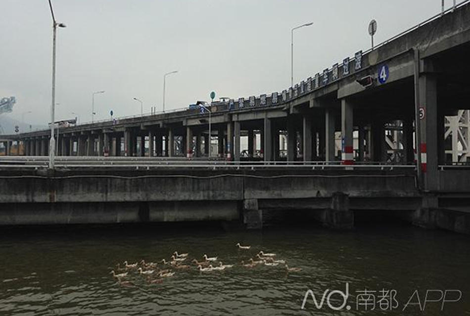 广州虎门镇人口多少_广州多少人口(3)