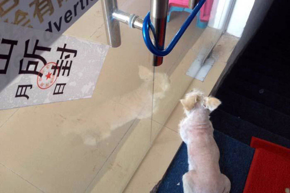 深圳富士康自离不到3个月,能进郑州恒博物业做