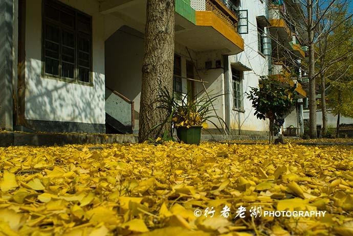南雄的人口_南雄小吃特产图片(3)