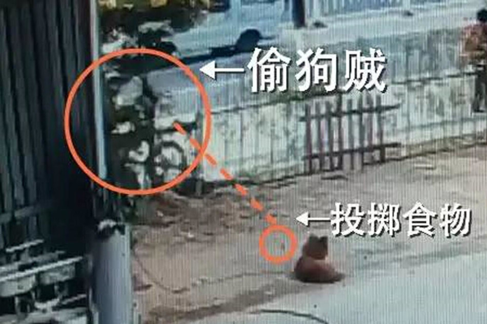 在东莞如何寻找天使投资人或者投资公司?