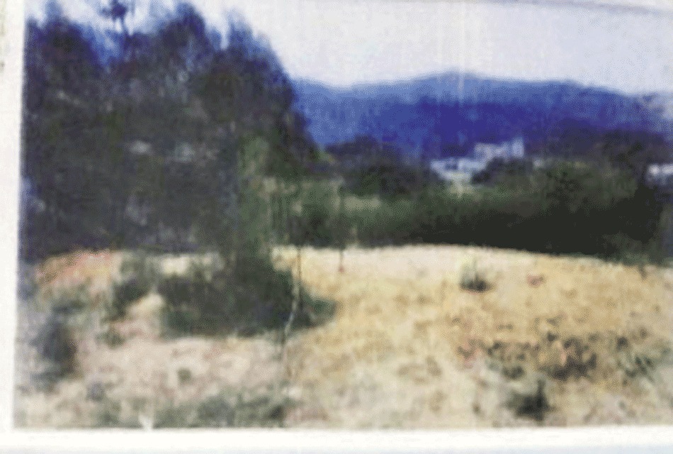  退休干部建活人墓 _修建活人墓_活人墓剧照