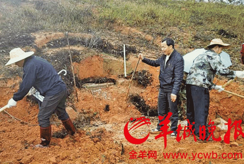  退休干部建活人墓 _修建活人墓_活人墓剧照