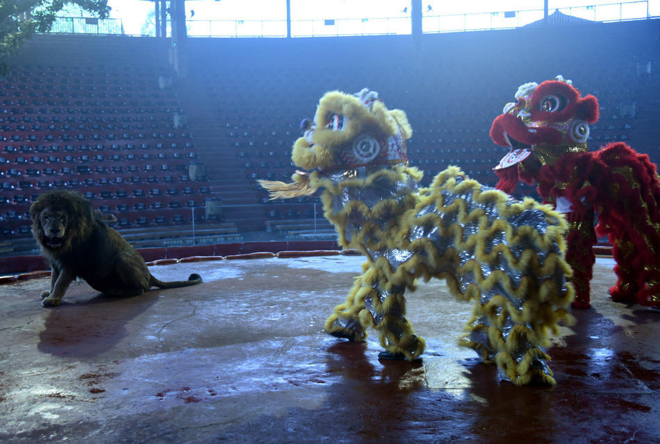 经常会莫名其妙感觉很烦躁、烦躁起来看什么都