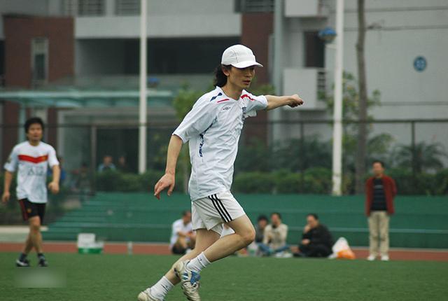 棕榈园林老总_棕榈园林张辉(3)