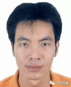 陆丰市碣石镇总人口_广东省陆丰市碣石镇田头园村乡邻知情人(3)