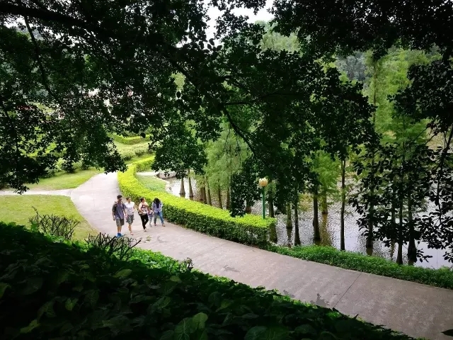 佛山三水天气图片