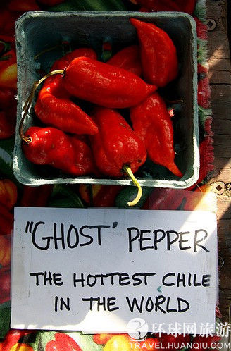 最辣的辣椒_世界上最辣的辣椒是什么椒