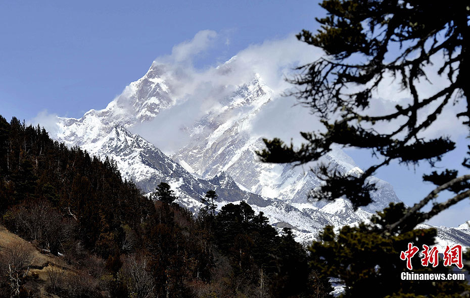 林芝地区人口_林芝地区旅游景点地图(3)