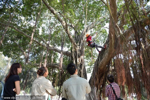厦门大学文科生考的话要多少分才能考上-文科