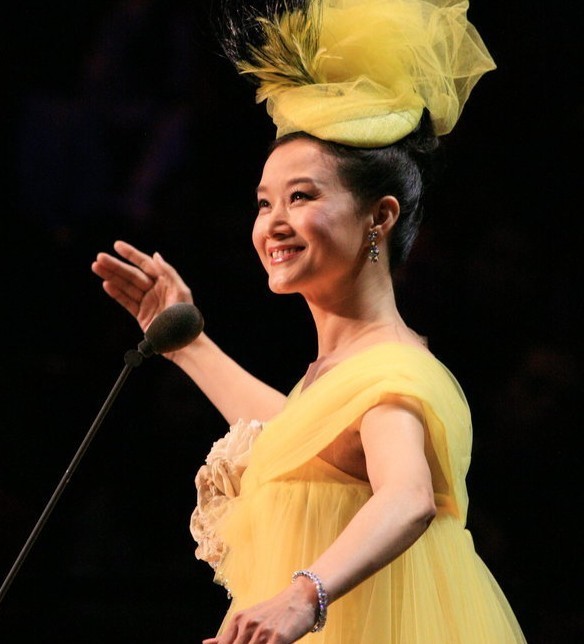 那英胸上一个桃心猜成语_那英性感图片