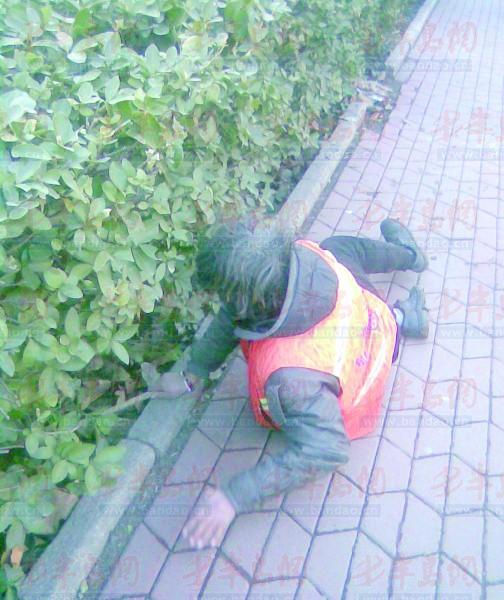 写 最美小英雄李美佳 的作文