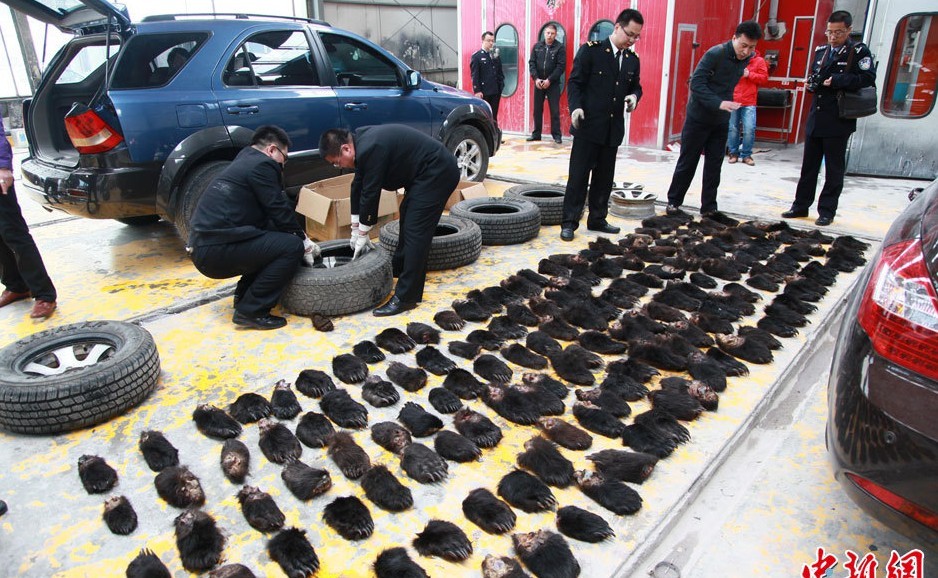 内蒙古有多少人口_凌晨,内蒙古一男子在家门口被邻居连捅4刀,当场倒地 原因竟