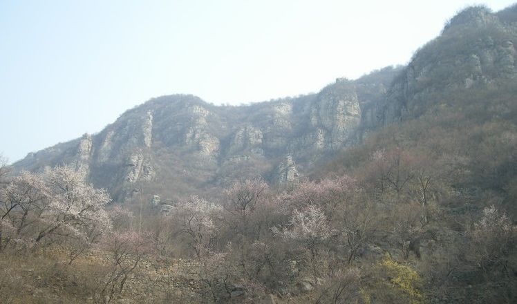 鹿河人口_人口普查