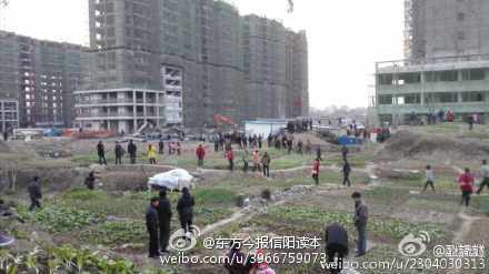 花园县人口_紫罗兰永恒花园(2)