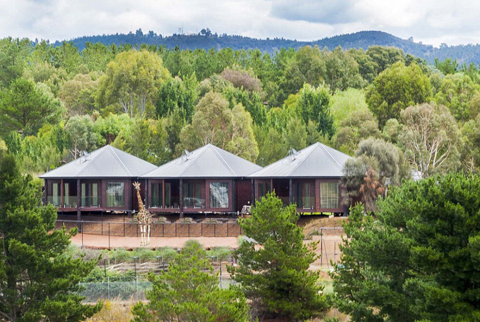 从澳洲寄回国的东西寄 环CHS重庆中环国际快