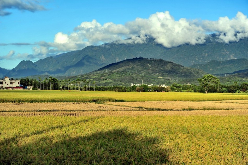 池上意思