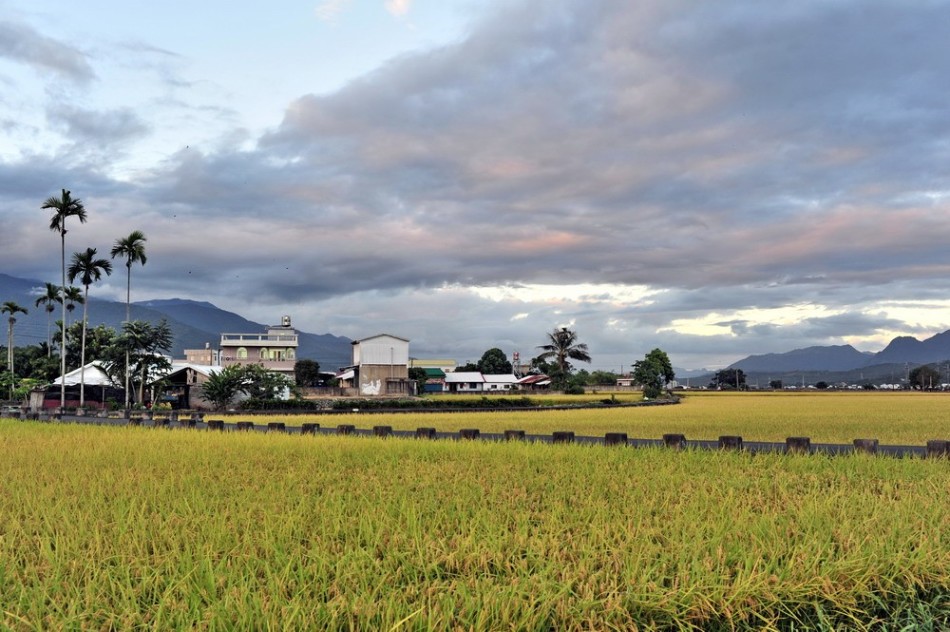 池上意思