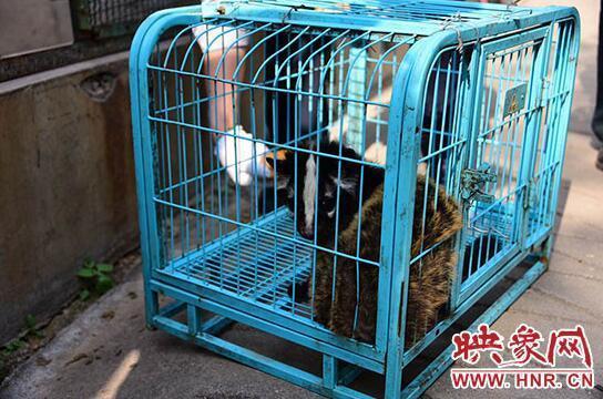 登封人口有多少人口_登封少林寺图片(3)