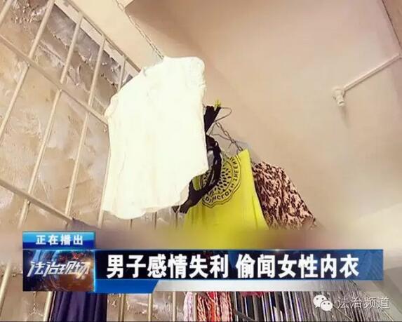 偷美女的内衣内裤来味_美女内裤内衣脱下来