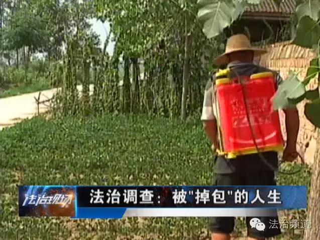舞阳县保和乡人口多少_舞阳县马村乡乔庄村