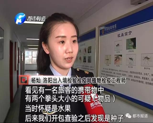 外来人口查阅_薛之谦天外来物图片(2)