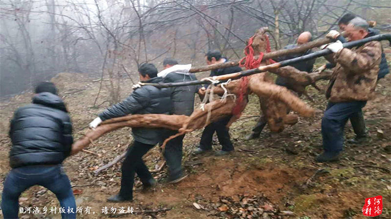 赵张村人口多少万人_...小镇瞬间挤进几万人 惊呆了