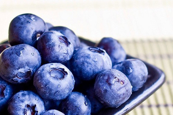 蓝莓的作用与功效大么 32733_2919860_579031.jpg