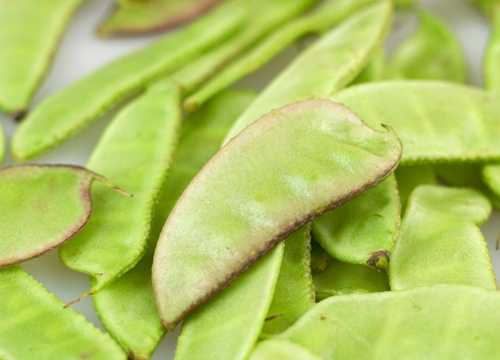 豆荚菜要怎么做 32733_3031517_688531.jpg