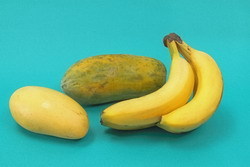 65322_4970464_912536.jpg
