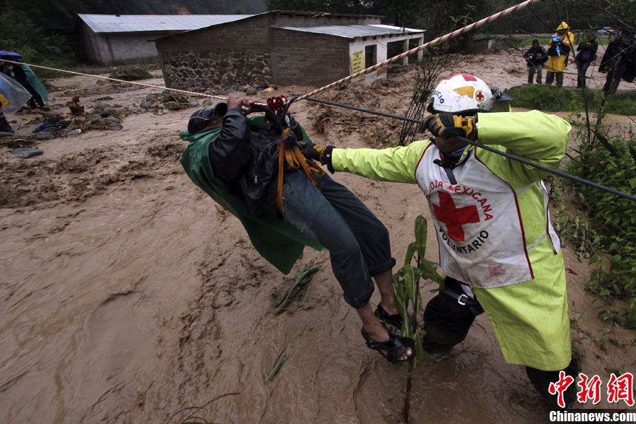 墨西哥上班时间_墨西哥黑帮_墨西哥女记者被