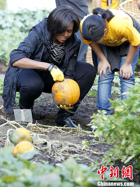 美国第一夫人身着朴素 在白宫带领大家收获蔬