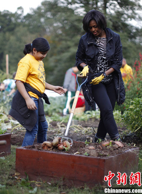 美国第一夫人身着朴素 在白宫带领大家收获蔬