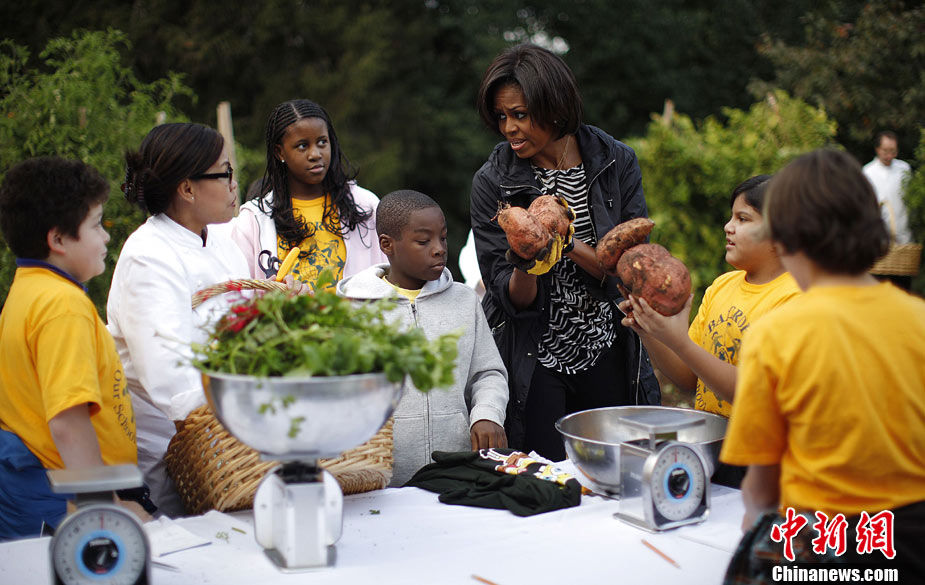 美国第一夫人身着朴素 在白宫带领大家收获蔬