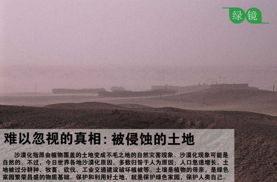 难以忽视的真相:被侵蚀的土地 - 图行天下 - ╰◎╮三百三阳光论坛╭◎╯- 沐浴阳光 放飞心情