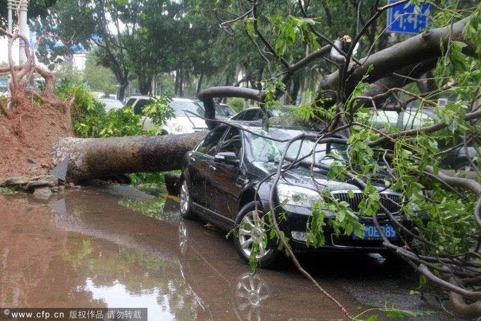 台风纳沙在海南文昌登陆 - 新闻中心 - 佛山信息