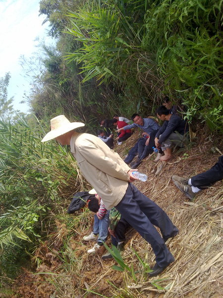 苍梧县大坡镇人口多少_苍梧县岭脚镇李广业
