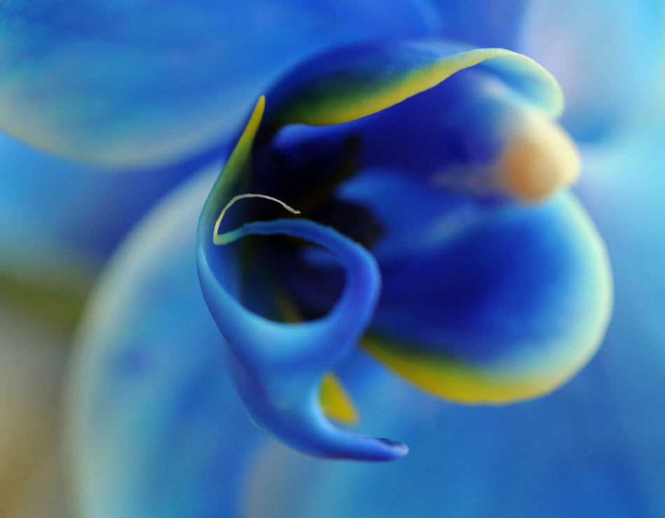 2841_136835_993612.jpg