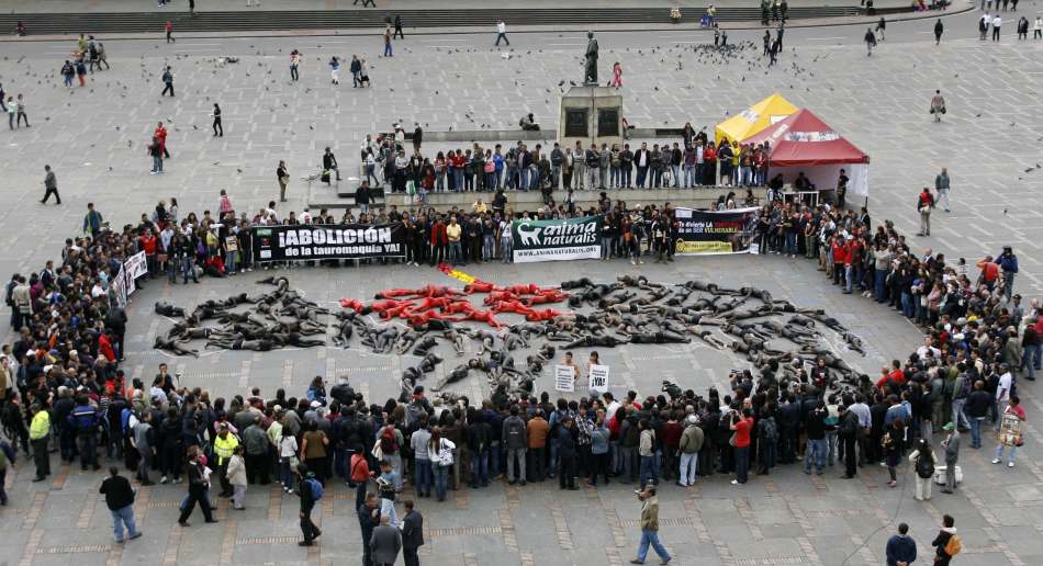 哥伦比亚民众半裸躺地抗议斗牛比赛
