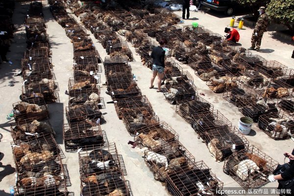 玉林狗肉节开幕 大街小巷被贴满抵制字报 玉林狗肉节是几月几号