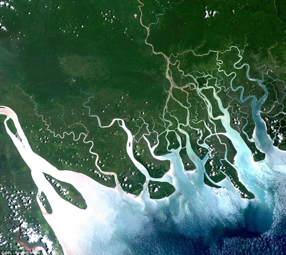 地球的无名英雄:河流三角洲
