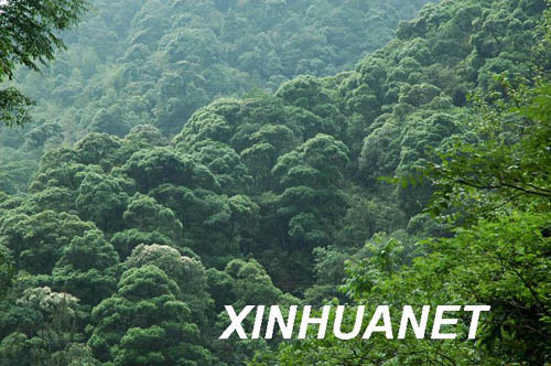 资溪县人口_资溪县(2)