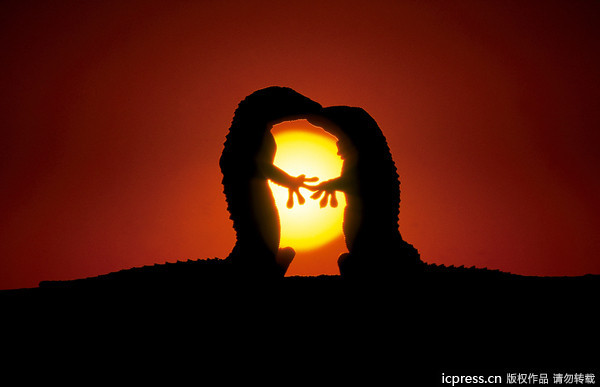 什么叫做爱情呢 28436_230596_972667.jpg